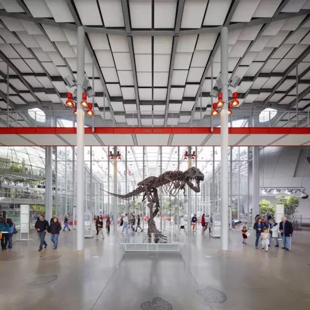 Dinosaur at 的 California Academy of Sciences