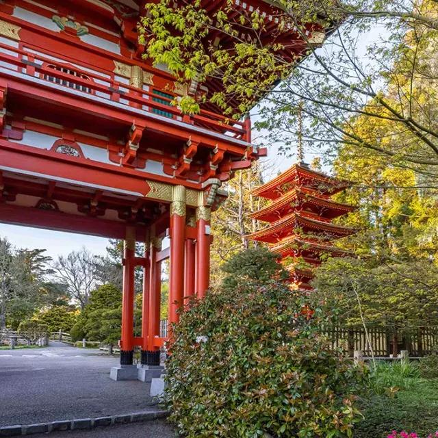 日本Teegarten-Tempel